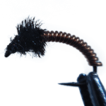 image of Brassie fly