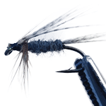 image of Dark Cahill fly