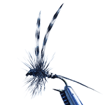 image of Mosquito fly